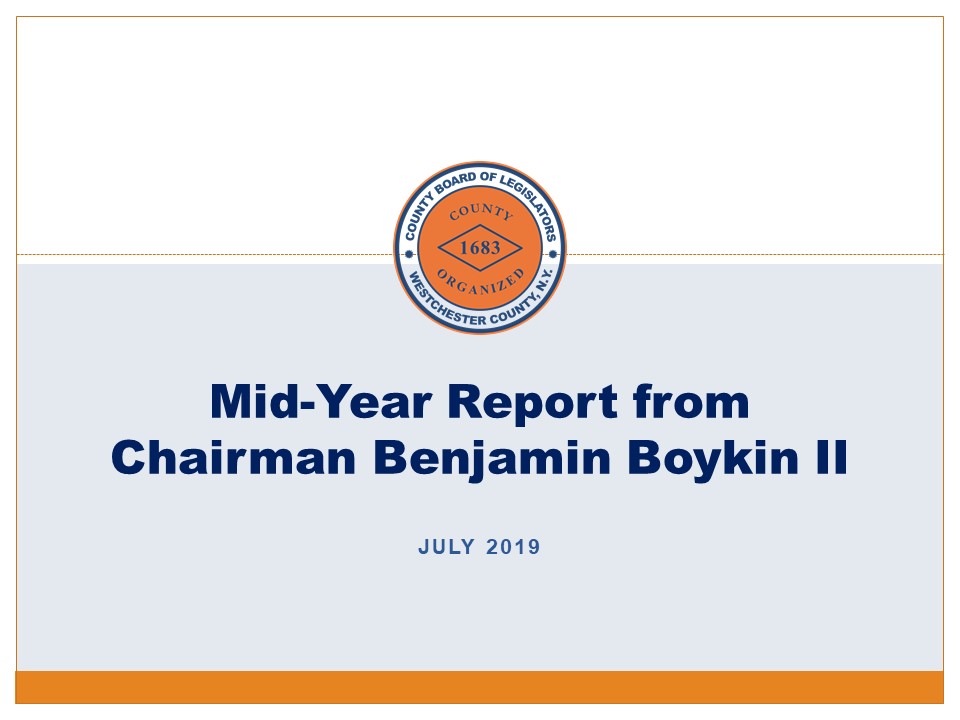 2019 Mid-Year Report