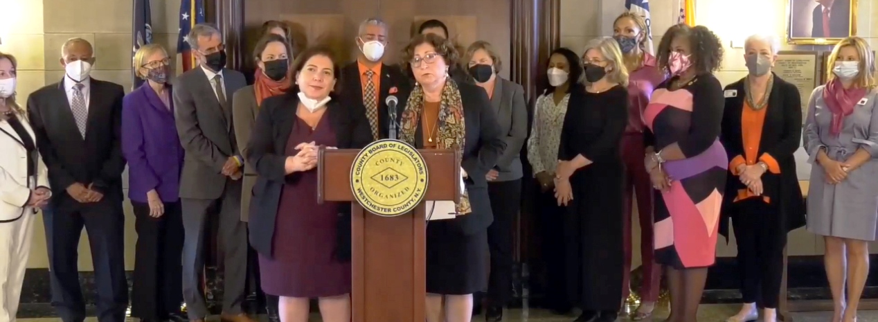 Board of Legislators introduced the Safe Access to Reproductive Health Care Facilities Act