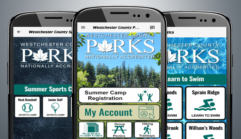 Three smartphones displaying the Westchester County Parks mobile app featuring summer programs and activities.
